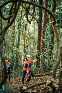 BIB: 
                            <button type="button" onclick="openModal(25238662)" class="btn btn-primary btn-sm float-right btn-popup" data-toggle="modal" data-target=".modal-high-quality">
                        <i class="fas fa-shopping-cart"></i> Add to Cart
                    </button>
                                            <button type="button" onclick="isThisMe(25238662, true)" class="btn btn-success btn-sm float-right btn-popup btn-isme hidden" data-toggle="tooltip" data-placement="bottom" title="นี่คือรูปของคุณใช่ไหม คลิกที่นี่เพื่อเอาเข้าอัลบั้ม">
                        <i class="fas fa-plus"></i> Add to album
                    </button>
                    <button type="button" onclick="isThisMe(25238662, false)" class="btn btn-warning btn-sm float-right btn-popup btn-isnotme hidden">
                        <i class="fas fa-ban"></i> Remove from album
                    </button>